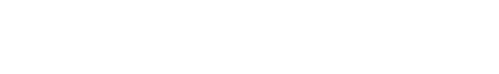 Waste Services USA
